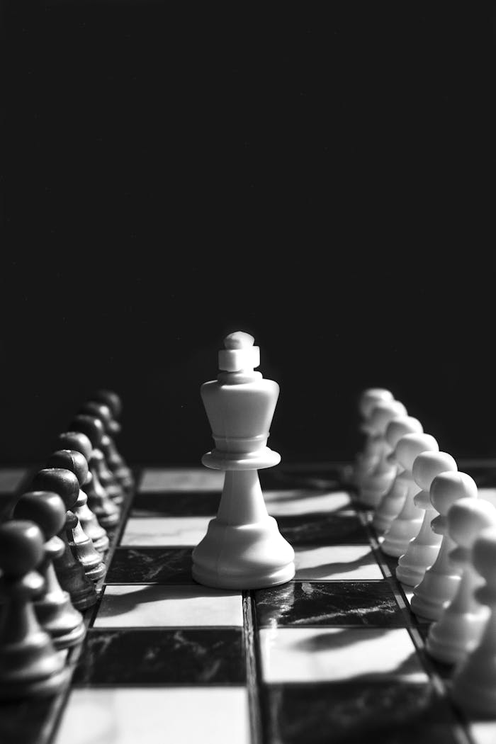 Monochrome chess board displaying strategy with a focused king piece.